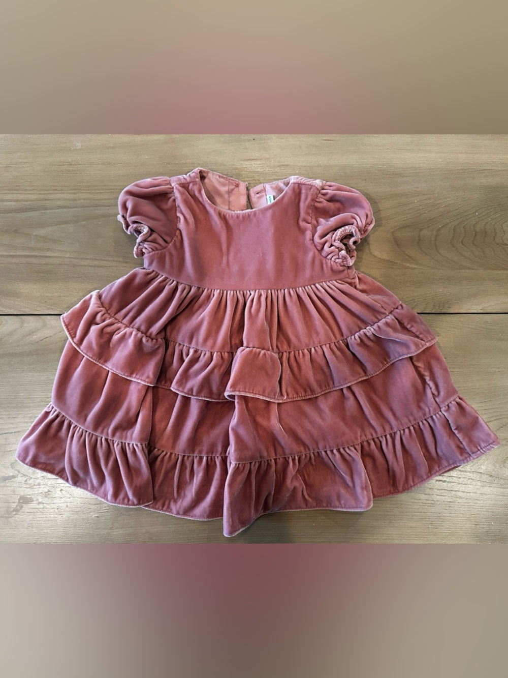 Janie and Jack Antique Rose Velvet Tiered Baby Dress Size 6-12 Months